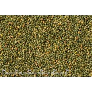 黒瀬ペットフード 若菜 180g(大容量パック...の詳細画像2