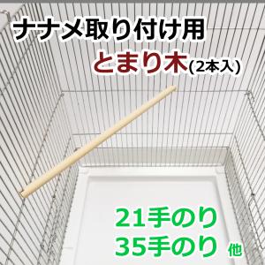 アクリルルーム 510 Low Amazon | ジェックス アクリルルーム510Low 小動物用ケージ | GEX