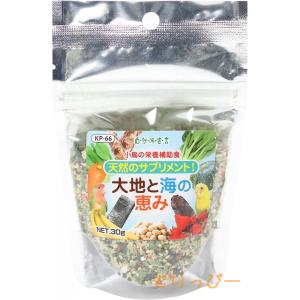 天然サプリメント 大地と海の恵み 30g　黒瀬ペットフード