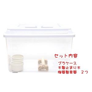 愛鳥 NEW看護入院ケース(フィンチ・小型イン...の詳細画像2