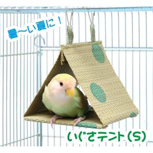 インコのおもちゃ 小鳥用 国産いぐさテント(S) グリーン(インコのテント・ベッド・ハウス)｜torippie