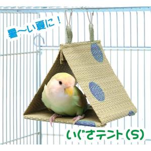 インコのおもちゃ P-2012 ゆらゆらブランコ L : とりっぴー小鳥用品