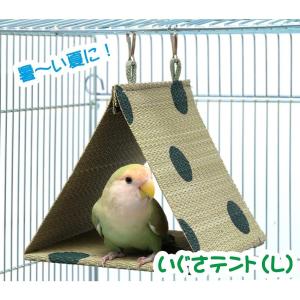 インコのおもちゃ 起き上がりこぼし（P−1742） : とりっぴー小鳥