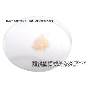 鳥類用サプリメント バードサプリ <&l...の詳細画像2