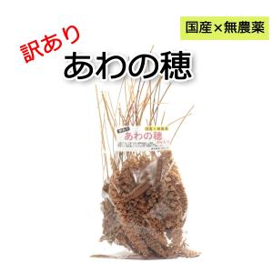 国産 無農薬栽培 あわの穂 160g（80g×2袋） 訳ありアウトレット品 日本産粟穂（数量限定）