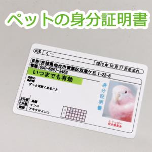 ペットの身分証明書(オリジナルカード印刷)　運転免許証風IDカード　犬猫鳥小動物対応
