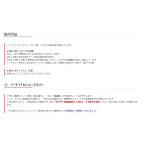 S 鳥類総合ビタミン バードサプリS 30日分...の詳細画像4