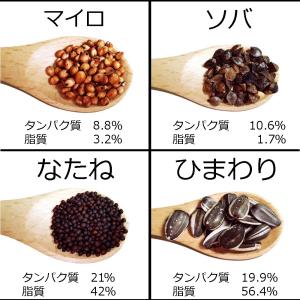 自分でブレンド! 我が家の小鳥配合シード 30...の詳細画像5