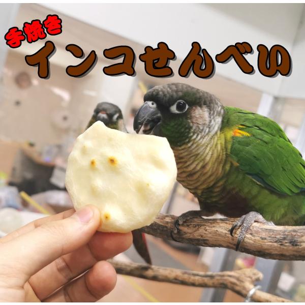 小鳥のための手焼きおせんべい　1枚入　インコのお煎餅