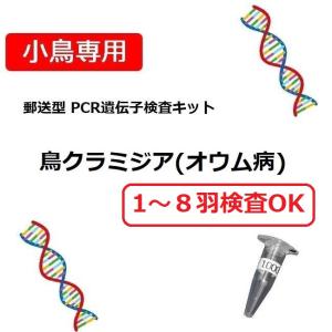 【PCR法遺伝子検査】小鳥の遺伝子検査キット  鳥クラミジア(オウム病) 最大8羽まで検査OKタイプ｜torippie