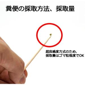 (他商品との同梱不可) 自宅で遺伝子検査・郵送...の詳細画像3