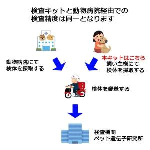 (他商品との同梱不可) 自宅で遺伝子検査・郵送...の詳細画像4