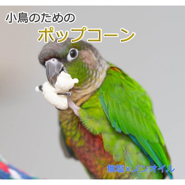 インコのおやつ　小鳥のためのポップコーン　無塩、無油で低カロリーおやつ