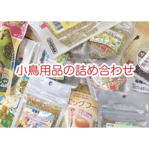 小鳥のおやつ　アウトレット　通常1000円分以上確定