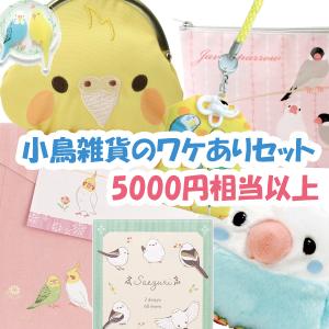 ワケあり！　小鳥、インコ、オウムモチーフの雑貨詰め合わせ　5000円相当以上確定！｜torippie