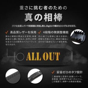 ALLOUT IFBB PRO監修 レバーアク...の詳細画像3