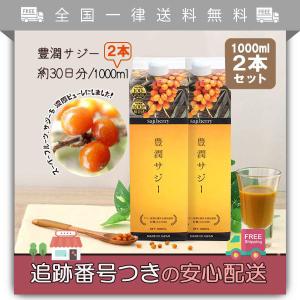 豊潤サジー 1000ml 2本セット 紙パック フィネス オーガニックサジー原料
