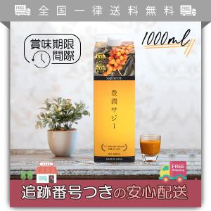 豊潤サジー 1000ml 約1ヵ月分 賞味期限間際 【2023年】 紙パック フィネス オーガニックサジー原料 ビタミンC 鉄分 100%天然