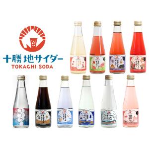 ご当地サイダー 指宿温泉サイダー 330ml 瓶「24本入り」鹿児島 お土産