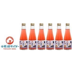 池田ぶどうサイダー 6本セット　送料無料　/ 十勝地サイダー 北海道 十勝 池田町 サイダー お取り...