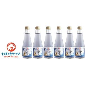 広尾しおサイダー 6本セット　送料無料　/ 十勝地サイダー 北海道 十勝 広尾町 サイダー お取り寄...