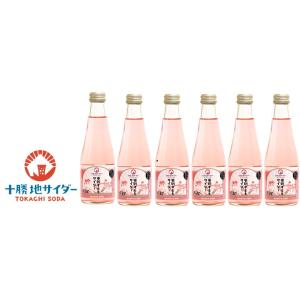 更別すももサイダー 6本セット　送料無料　/ 十勝地サイダー 北海道 十勝 更別村 サイダー お取り...