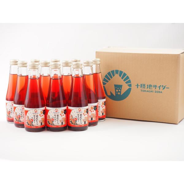 帯広ビーツサイダー 12本セット 送料無料 / 十勝地サイダー 北海道 十勝 帯広市 サイダー お取...