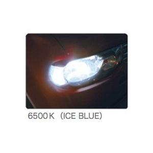 HID CALSONIC カルソニック 6500K CKL-D24