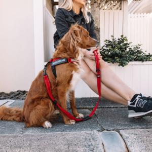 PRADA（プラダ） 2YG008 BV1 F0002 ナイロン リード ペット用品 犬