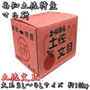 【ご家庭用】高知県産 マル研 土佐文旦(ぶんたん)  大玉 ３L〜４Lサイズ 約10kｇ 土佐特産 丸研 マルケン 訳アリ｜tosa-umaimon