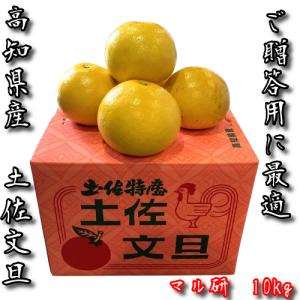 贈答用》 土佐文旦 高知県産 文旦 大玉 4L または 3L 10kg ぶんたん