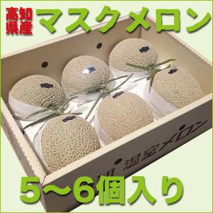 お歳暮に最適 高知県産 化粧箱入り マスクメロン 5〜6個入り 8.5〜9.5kg