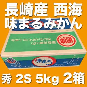 ご贈答に最適 長崎産 西海 味まるみかん 青秀 2S 約5kg 2箱｜tosa-umaimon
