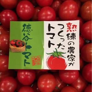 お買い得 たっぷり4kg 高知県産 徳谷トマト フルーツトマト 上品｜tosa-umaimon