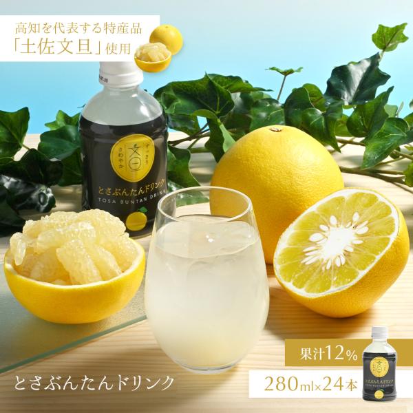 【 送料無料 】とさぶんたん ドリンク 280ml 24本 土佐 文旦 ドリンク ジュース さわやか...