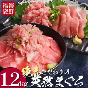 天然 まぐろ マグロ 1.2kg 国産 めばちまぐろ 個包装 小分けパック 切り落とし たたき 赤身 海鮮 海の幸 魚 魚介 父の日 プレゼント ギフト｜tosachinmi