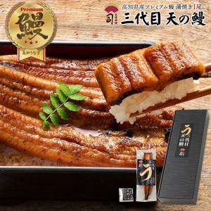 国産 うなぎ 蒲焼 ギフト 鰻 三代目 天の鰻 蒲焼き たれ付き 土佐料理 司 ご挨拶 プレゼントお家グルメ 006039