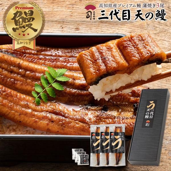 ギフト 高知県産 うなぎ 蒲焼 国産 送料無料 三代目 天の鰻蒲焼き3尾セット たれ付き  土佐料理...