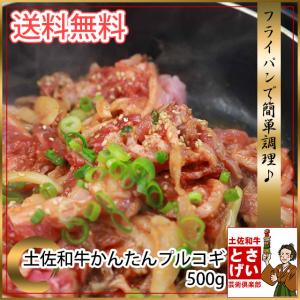 とさげい流♪かんたんプルコギ５００ｇ 韓国風すきやき