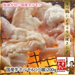 国産牛 ホルモン (小腸)200g 冷凍 おひとり様2個まで もつ