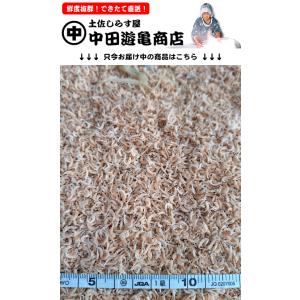 【期間限定・しっとり干し海老1kg】※とっても小さな海老をしっとりやわらかく天日干し、優しい食感、ふ...