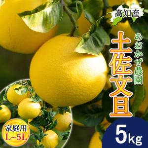 文旦 土佐文旦 家庭用 L〜5Lサイズ 混合 8〜10玉 5kg 宿毛文旦 産直