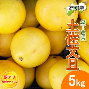 文旦 土佐文旦 家庭用 小サイズ S/M 5kg産直 森下農園 宿毛 ぶんたん