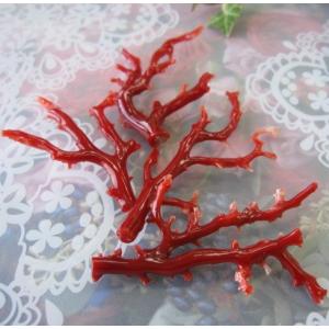 珊瑚　枝？ 枝サンゴ-L-【約10～20cm/約1kg】 - Not for overseas sale -