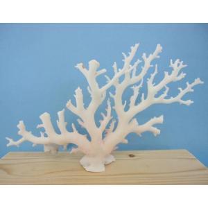 42 割引大好き 珊瑚の原木 白珊瑚 桃色珊瑚 値段交渉可 アンティーク コレクション その他 Aci Md