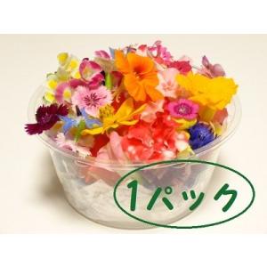 エディブルフラワー１パックセット（５０〜７０輪程度）ホウセンカ・トレニア・フロックス・キバナコスモス・金魚草・なでしこ等　　　　　　　　　　