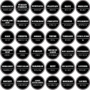 調味料ラベル 耐水 36枚組 グランジブラック