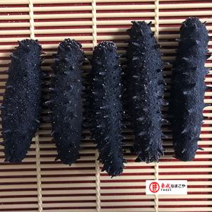 東成 最高級 純淡干 黒なまこ 北海道産 1KG入 Lサイズ 特A級品 ナマコ