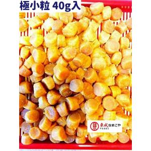 北海道ぎょれん 干し貝柱 1等検 40G入 4Sサイズ ホタテ 貝柱 帆立 ほたて ホタテ貝柱 乾燥ホタテ 帆立貝柱 ほたて貝柱 ネコポス便