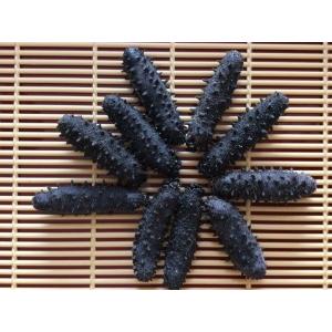 淡干海参 100g30個前後入 干しナマコ なまこ 魚介類 海産物 乾燥なまこ Ssサイズ A級品 干しなまこ 乾燥ナマコ 海参 干しナマコ ナマコ 海参 関西産 Tsnmk100g30 東成商事